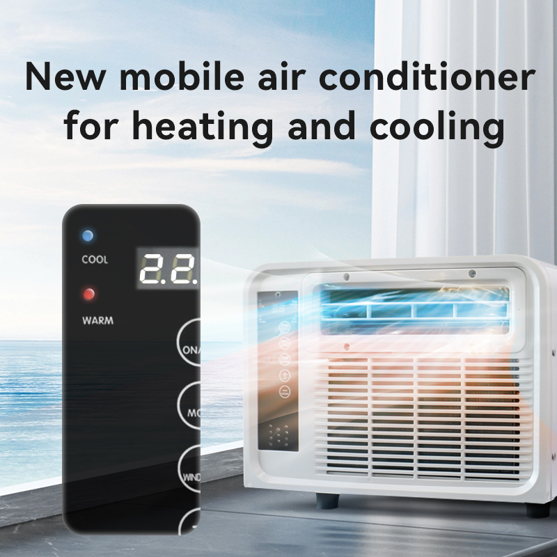 Condizionatori d'aria con funz - Air Conditioners recensione e prezzo